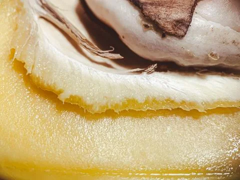 Fresh mango macro. The fruit pit is visible in detail Stock Photos