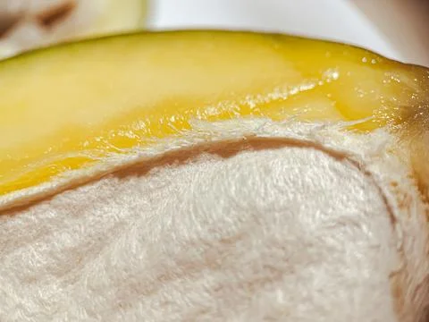 Fresh mango macro. The fruit pit is visible in detail Stock Photos