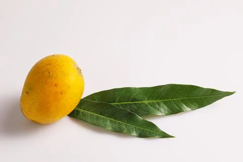 Fresh mango with mango slice and leaves Stock Photos
