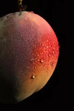 Fresh mango Stock Photos