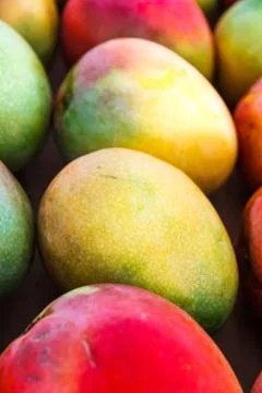 Fresh Mango Foto stock
