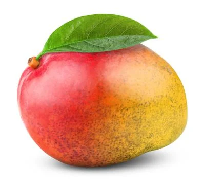 Fresh mango Stock Photos