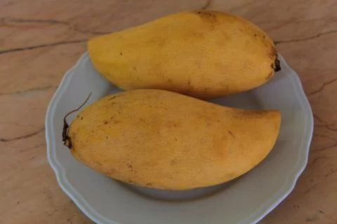 Fresh Mango Stock Photos