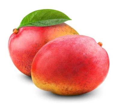 Fresh mango Stock Photos