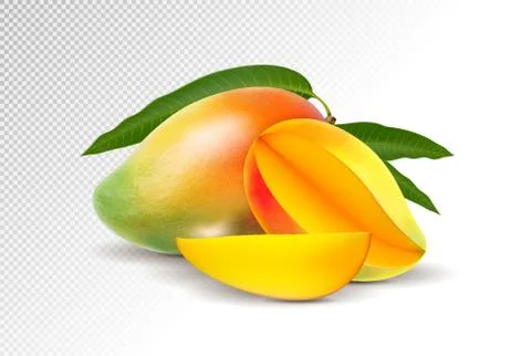 Fresh Mango with slice Isolated On White Background. Vector 3d illustration Ilustración de archivo