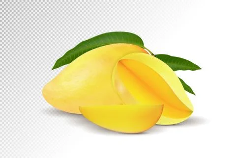 Fresh Mango with slice Isolated On White Background. Vector 3d illustration Ilustración de archivo