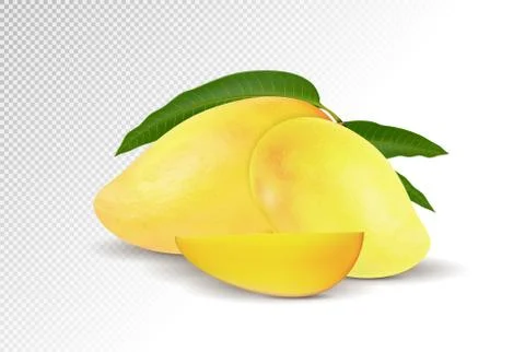 Fresh Mango with slice Isolated On White Background. Vector 3d illustration Ilustración de archivo