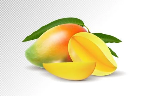 Fresh Mango with slice Isolated On White Background. Vector 3d illustration Ilustración de archivo