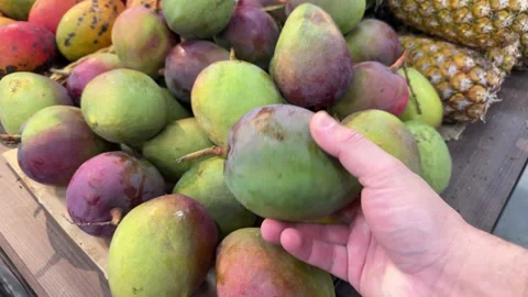 Fresh mango in the supermarket Stock Footage 276714365