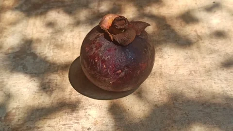 Fresh Mangosteen Fruit Stock-Footage 255041882