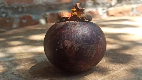Fresh Mangosteen Fruit Video stock 255041926