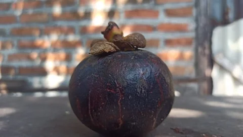 Fresh Mangosteen Fruit Stock-Footage 255043074