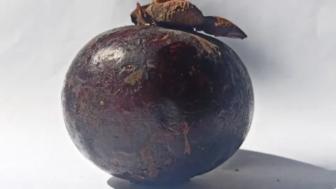 Fresh Mangosteen Fruit Stock Footage 255043159