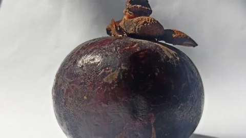 Fresh Mangosteen Fruit Stock-Footage 255043201