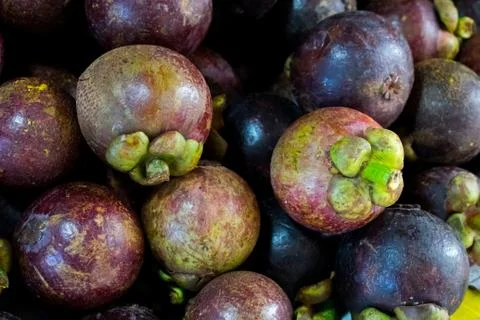 Fresh Mangosteen Stock Photos