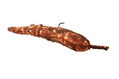 Fresh manioc root Stock Photos