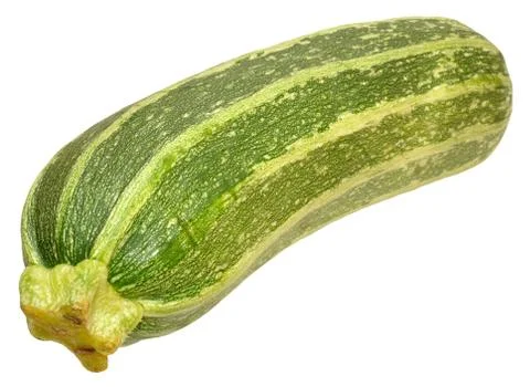 Fresh Marrow Squash Stock Photos