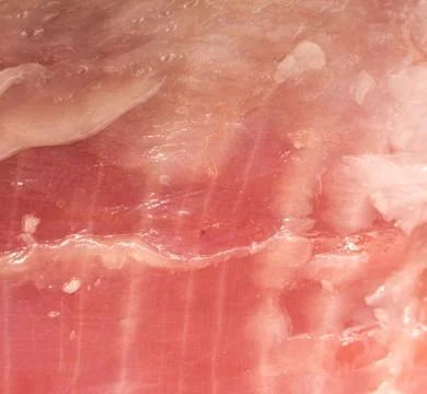 Fresh meat as a background. macro Stock Photos