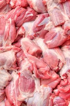 The fresh meat, close- up 스톡 사진