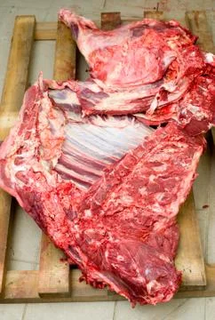 Fresh meat 写真素材