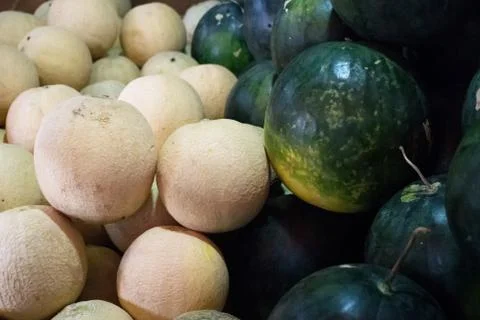 Fresh melon and water melon Stock Photos
