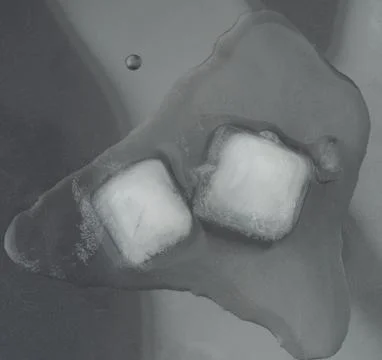 Fresh melting two ice cubes Stock Photos