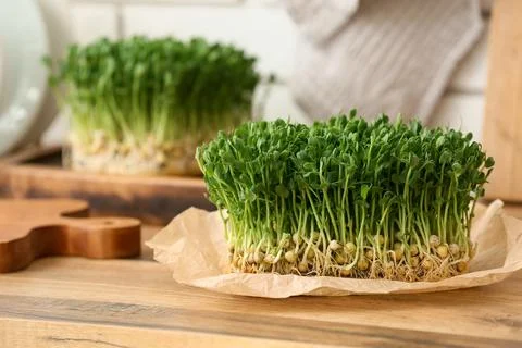 Fresh micro green on table in kitchen, closeup Stock Photos