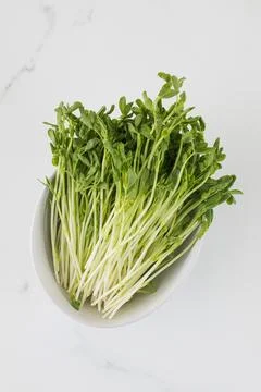 Fresh micro-greenery on white background. Healthy eating. Foto stock