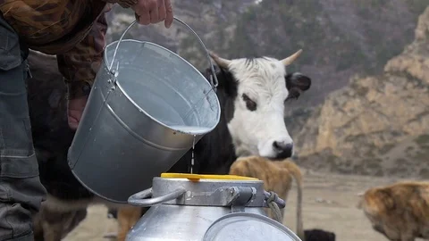 Fresh milk on a cow background Stock Footage 87738174