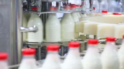 Fresh milk poured into bottles, screwed red caps and send to consumers Stock Footage