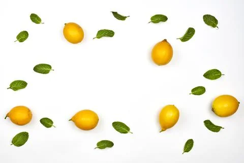 Fresh mint and lemon Stock Photos