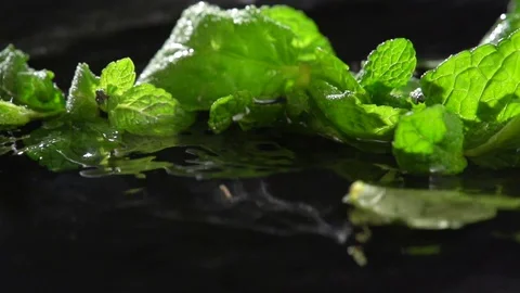 Fresh mint on black background with water mist. Detailed view of mint plant leaf Stockbeeldmateriaal 72404986
