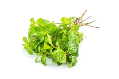 Fresh mint close up on white background 写真素材
