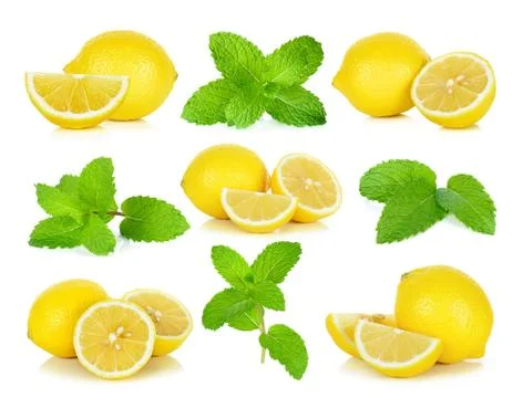 Fresh mint isolated on the white background Stock Photos
