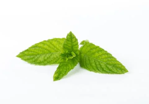 Fresh mint isolated on white background Stock Photos