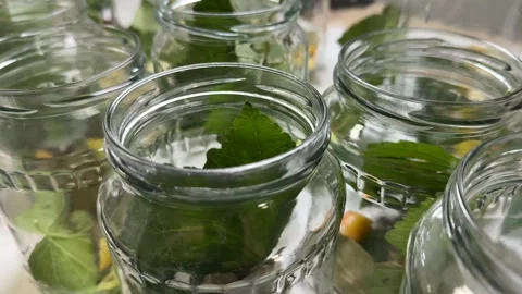 Fresh Mint Jars Stock Footage 313866472