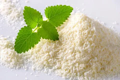 Fresh mint leaf on powdered substance Stock Photos