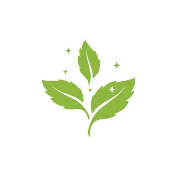 Fresh Mint Leaf Vector Illustration. Healthy Eating, Sweet Food Stock Illustration