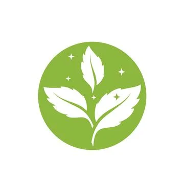 Fresh Mint Leaf Vector Illustration. Healthy Eating, Sweet Food Stock Illustration