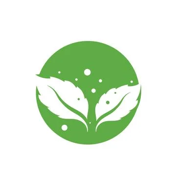 Fresh Mint Leaf Vector Illustration. Healthy Eating, Sweet Food Stock Illustration