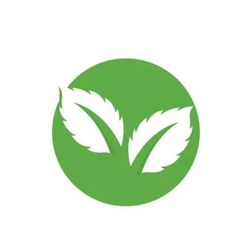 Fresh Mint Leaf Vector Illustration. Healthy Eating, Sweet Food Illustrazione stock