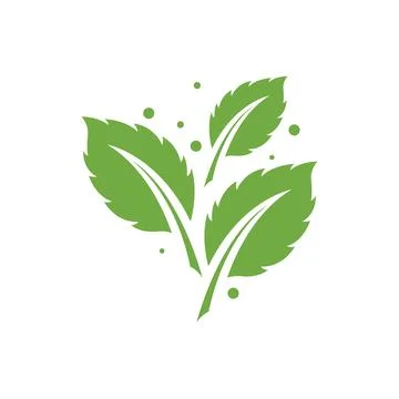 Fresh Mint Leaf Vector Illustration. Healthy Eating, Sweet Food Stock Illustration