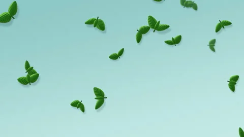 Fresh mint leaves falling on pale aqua, cool and refreshing 4K loop Видео 347922665