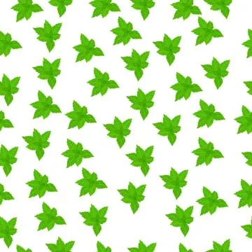 Fresh mint leaves Stock Illustration