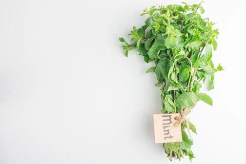 Fresh mint leaves on a light table Stock Photos