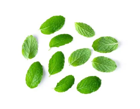 Fresh mint leaves pattern isolated on white background, top view Stock Photos