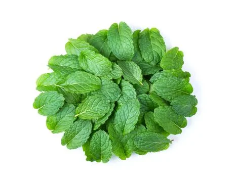 Fresh mint leaves pattern isolated on white background. top view Stock Photos