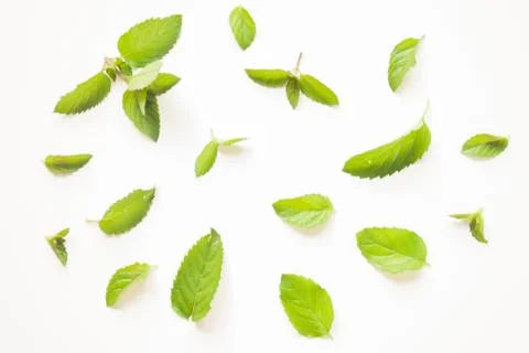 Fresh mint leaves pattern Foto stock