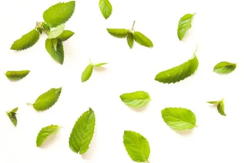 Fresh mint leaves pattern Stock Photos