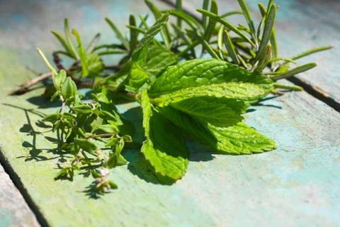 Fresh mint leaves Stock Photos